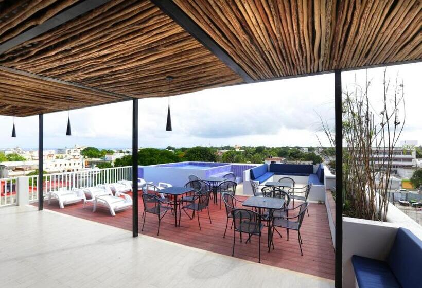 ホテル Pal Cozumel