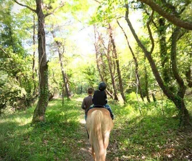 בית מלון כפרי Panorama