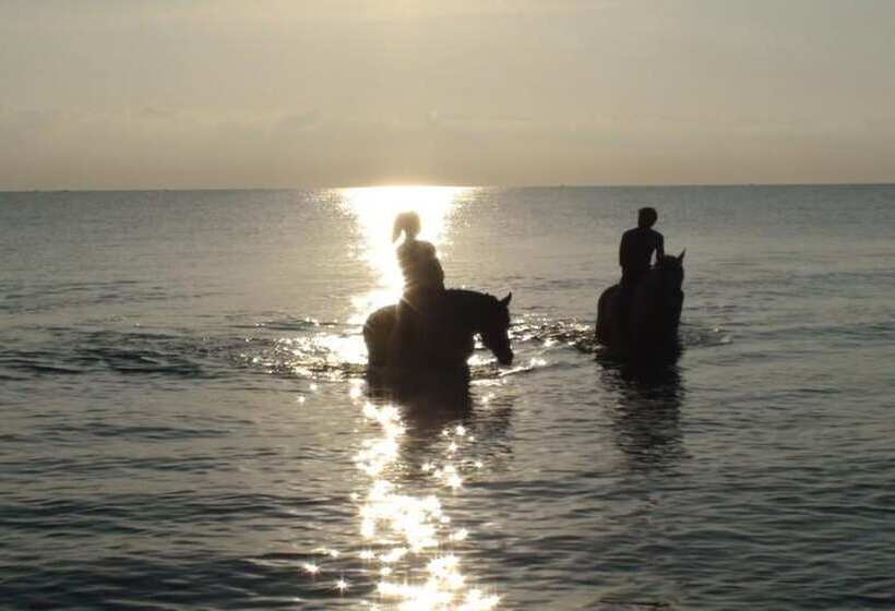 בית מלון כפרי Panorama Suites & Spa   Adults Only