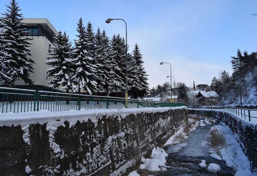 Parkhotel Carlsbad Inn