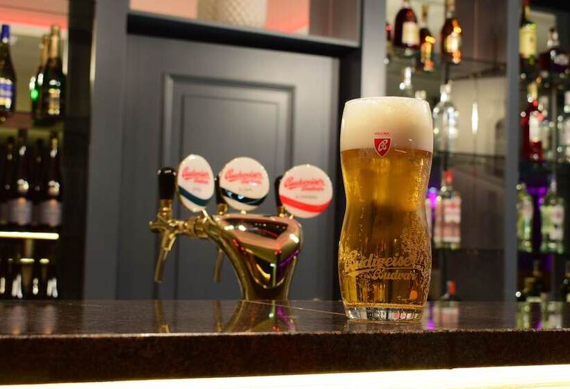 Parkhotel Carlsbad Inn