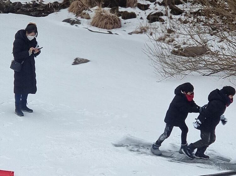 בית מלון כפרי Ario Pension