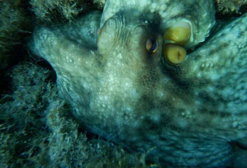 酒店 Residence La Chimera