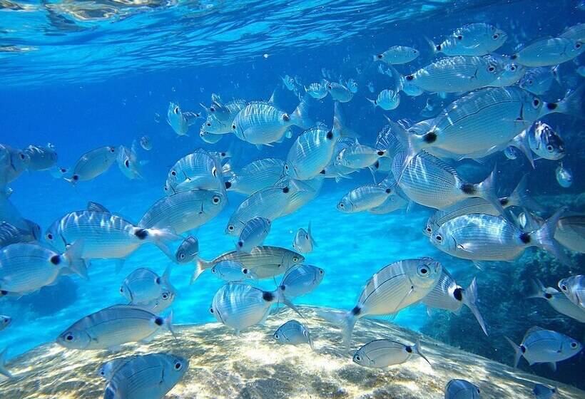 酒店 Residence La Chimera