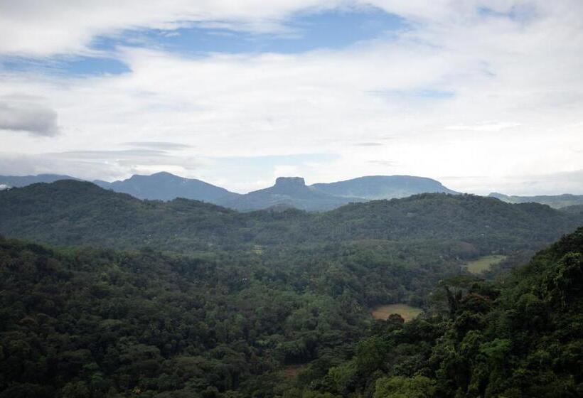 Отель Roylanka Inn