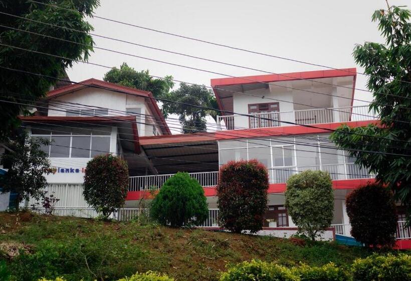 Отель Roylanka Inn