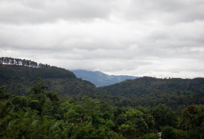 Отель Roylanka Inn