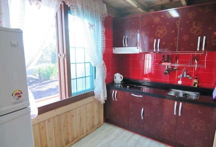 בית מלון כפרי Jeju Sannaedeul Pension