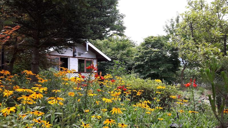 ホテル Starvill Pension