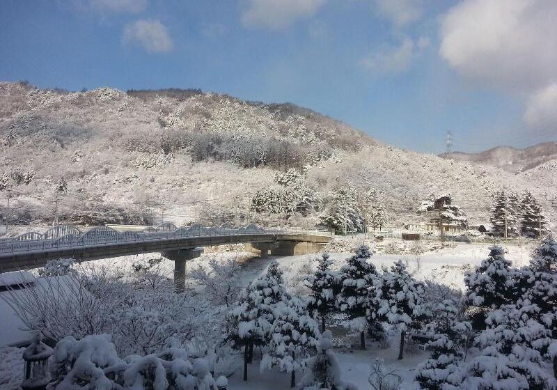 ホテル Starvill Pension