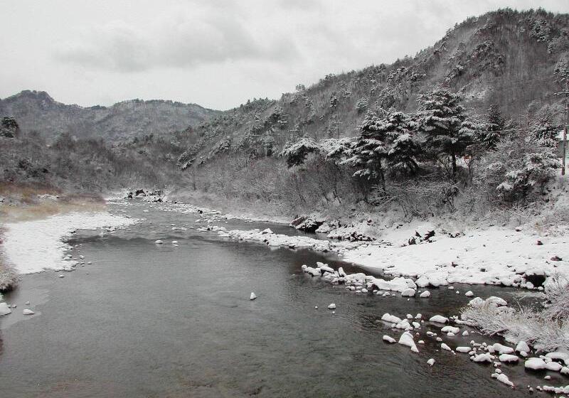 ホテル Starvill Pension