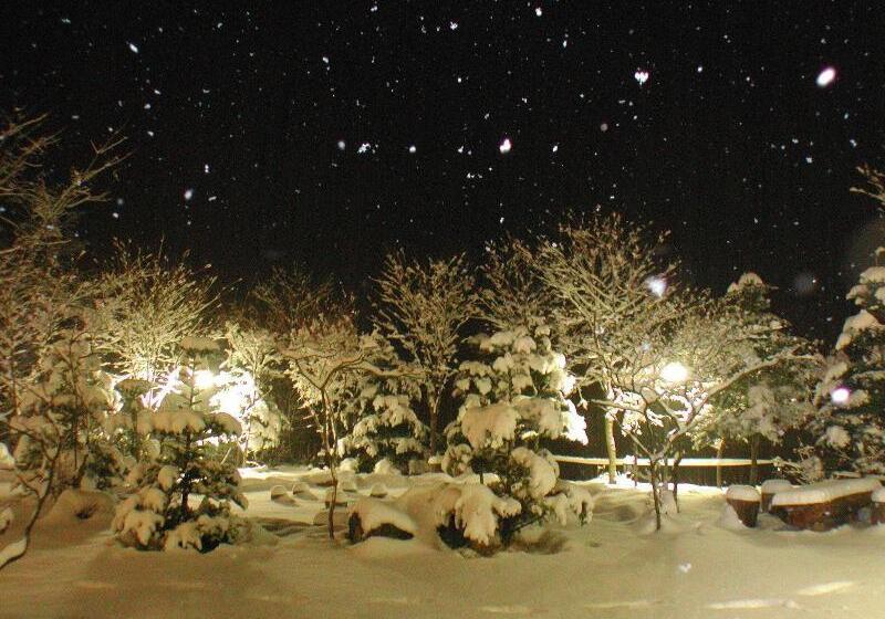 ホテル Starvill Pension