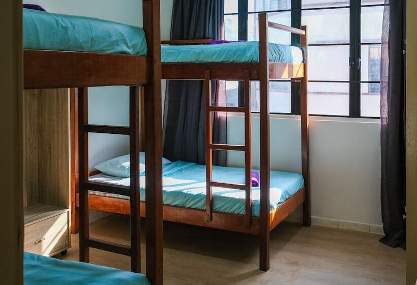 호텔 Step In Lodge   Hostel