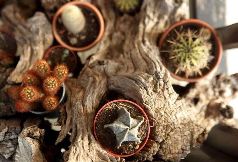 בית מלון כפרי Stilvi