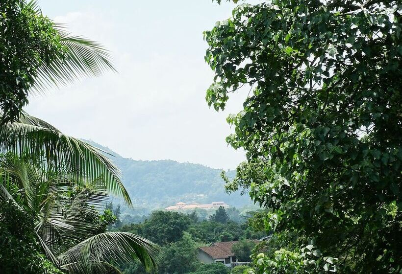 فندق The Pinnacle Fine Accommodation