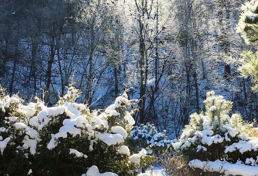 Hotelli Tirol Pension