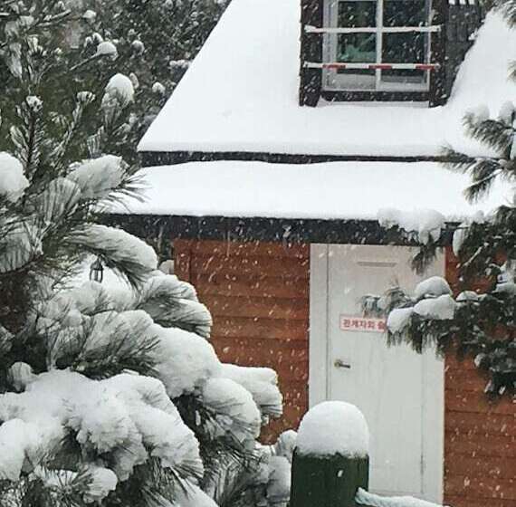 Hotelli Tirol Pension