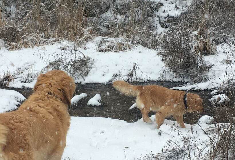 Hotelli Tirol Pension