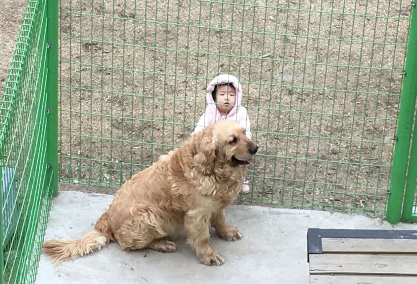 בית מלון כפרי Tirol Pension