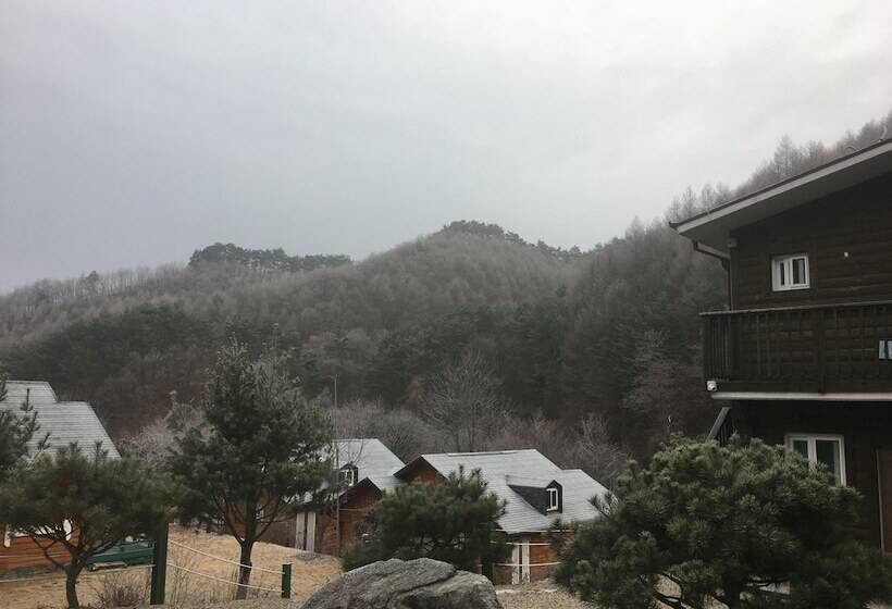 Hotelli Tirol Pension