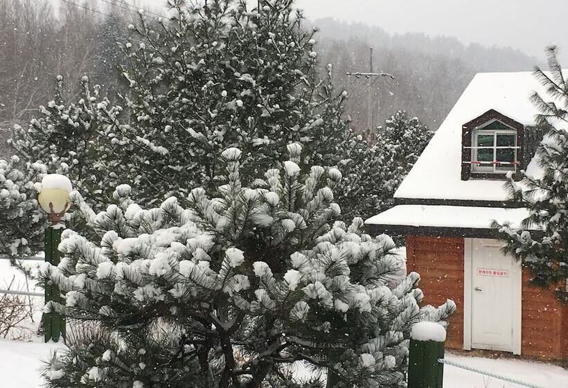 Hotelli Tirol Pension