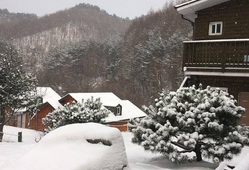 Hotelli Tirol Pension