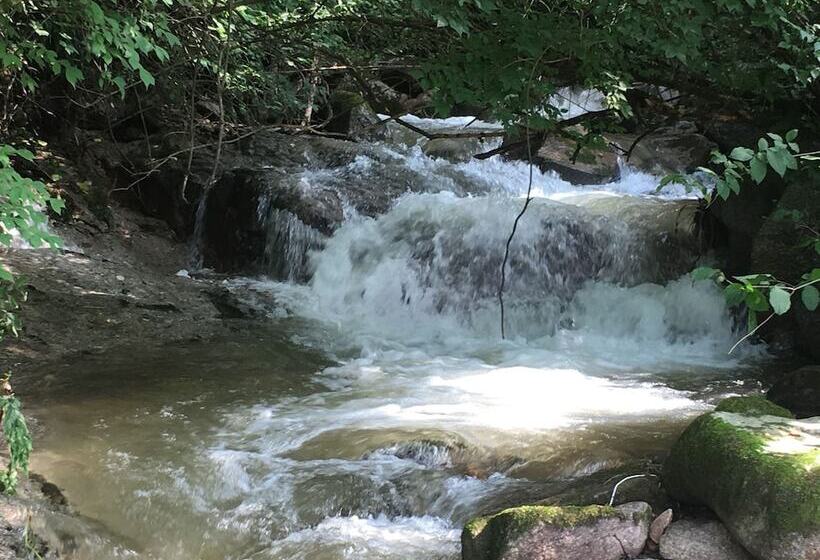 Hotelli Tirol Pension