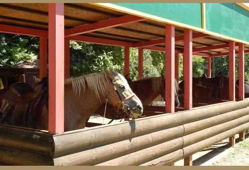 בית מלון כפרי To Kallion