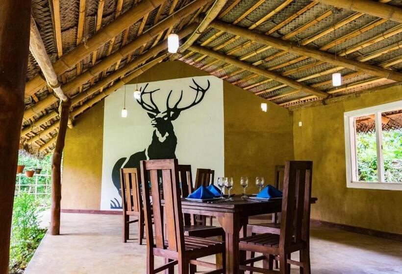 리조트 Kandy Cabana