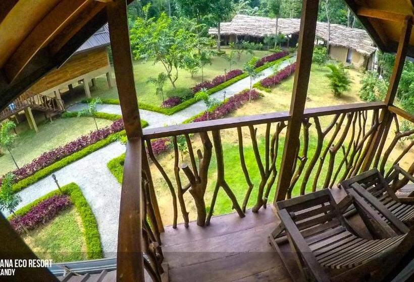 리조트 Kandy Cabana