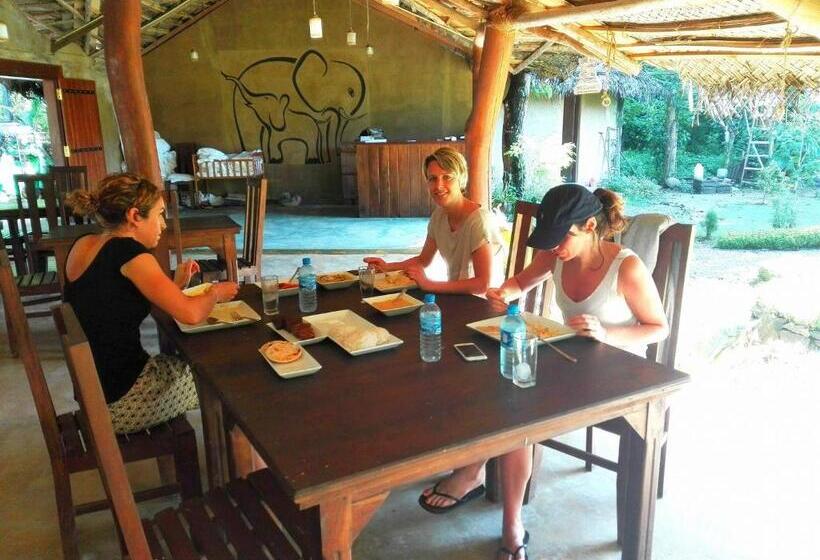 리조트 Kandy Cabana