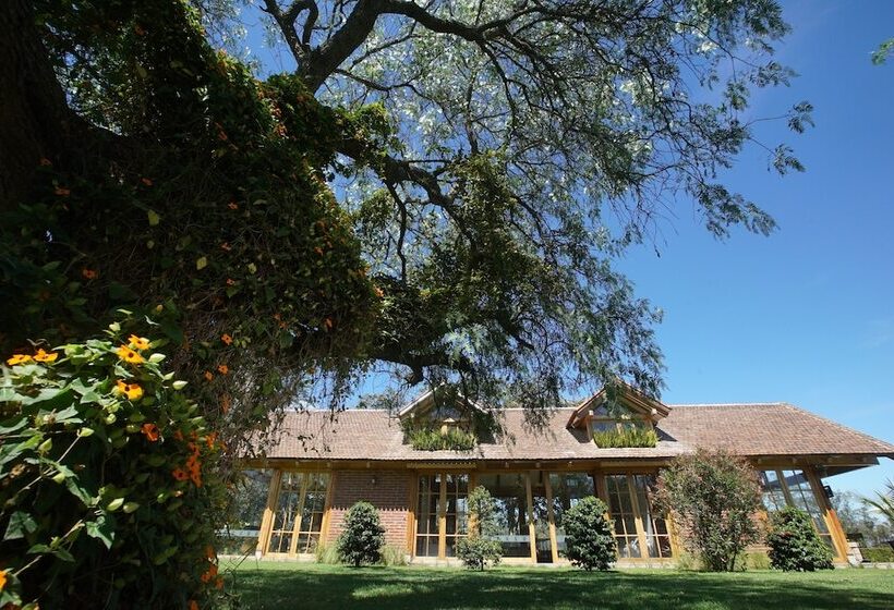 La Palma Polo Hotel   Airport Area