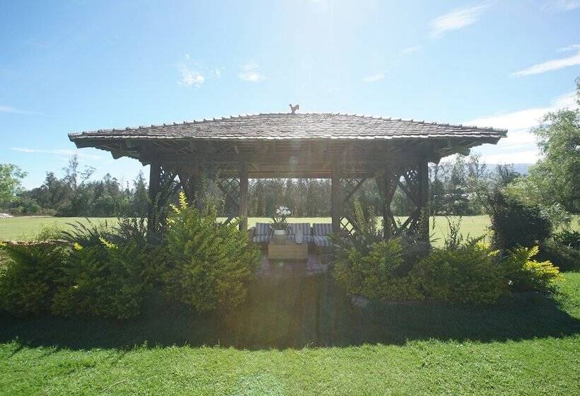 La Palma Polo Hotel   Airport Area