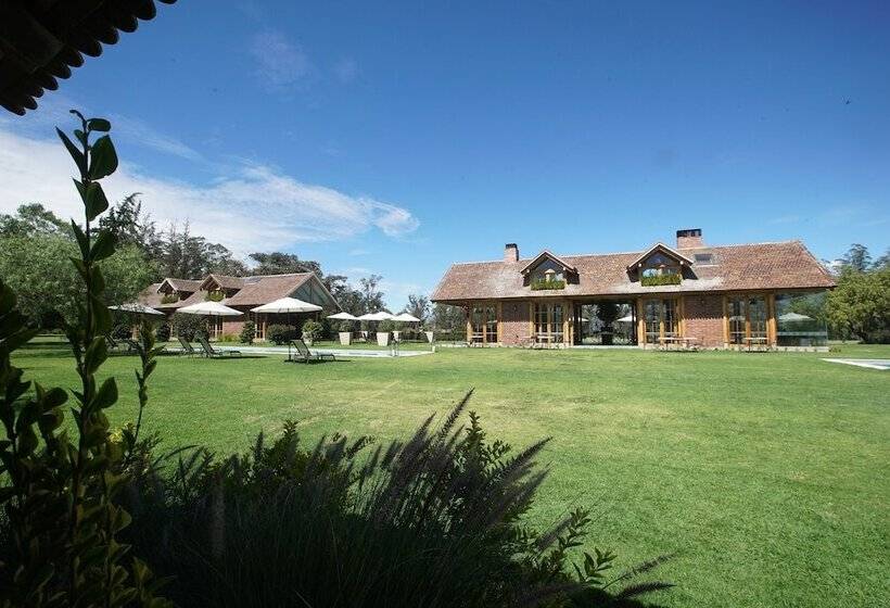 La Palma Polo Hotel   Airport Area