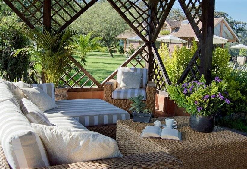 La Palma Polo Hotel   Airport Area