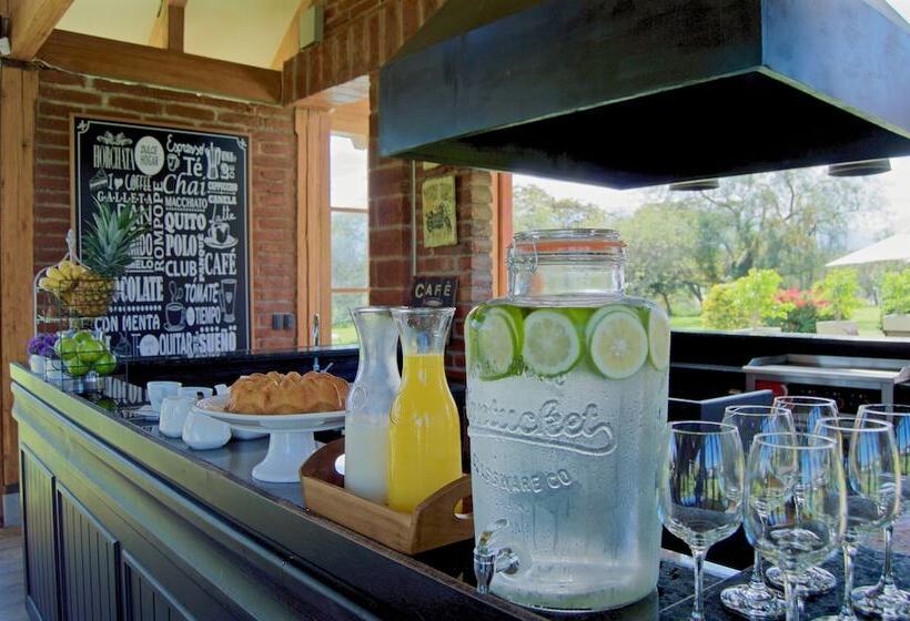 La Palma Polo Hotel   Airport Area