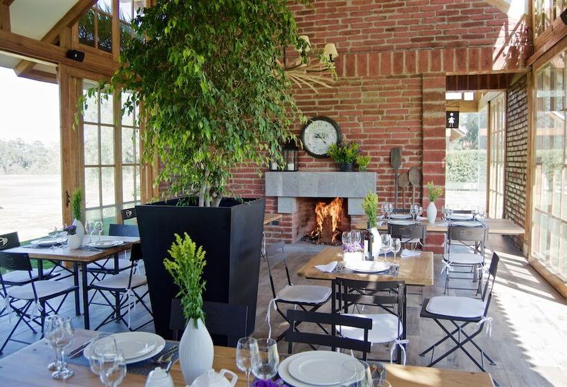 La Palma Polo Hotel   Airport Area