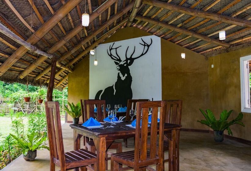 리조트 Kandy Cabana