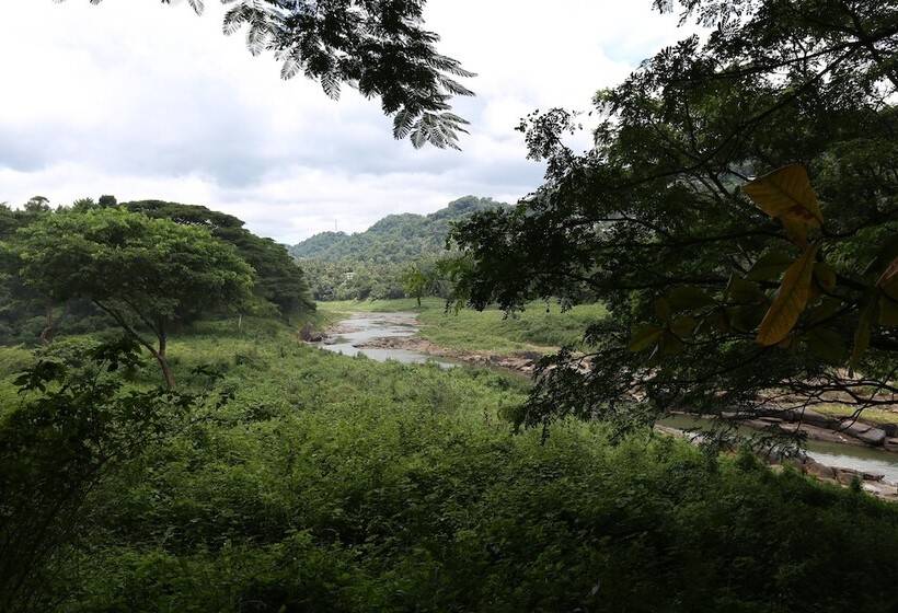 Riverside Homestay Apartments