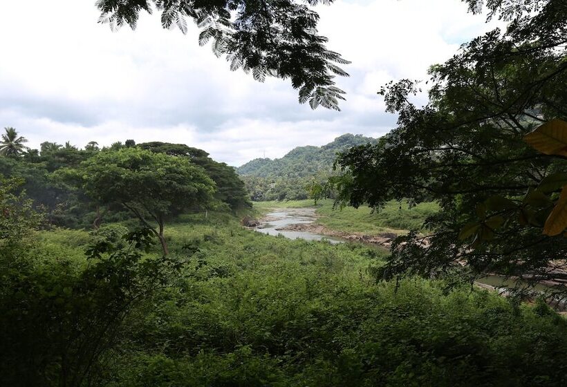 Riverside Homestay Apartments