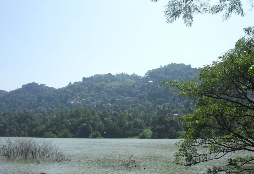 Riverside Homestay Apartments