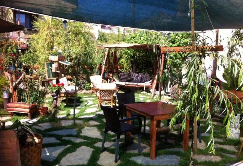 Ala Otel Konukevi Agva