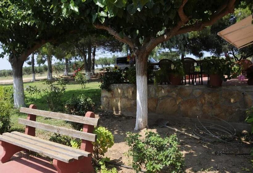 Apartments Hotel Alexandros