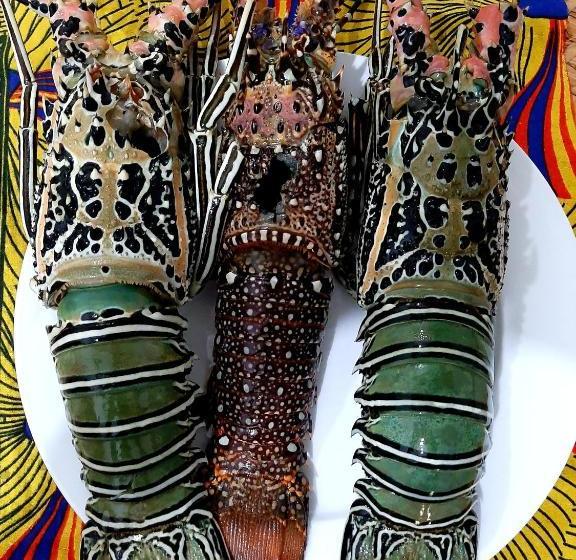 ベッドアンドブレックファースト Sunrise Lodge Zanzibar