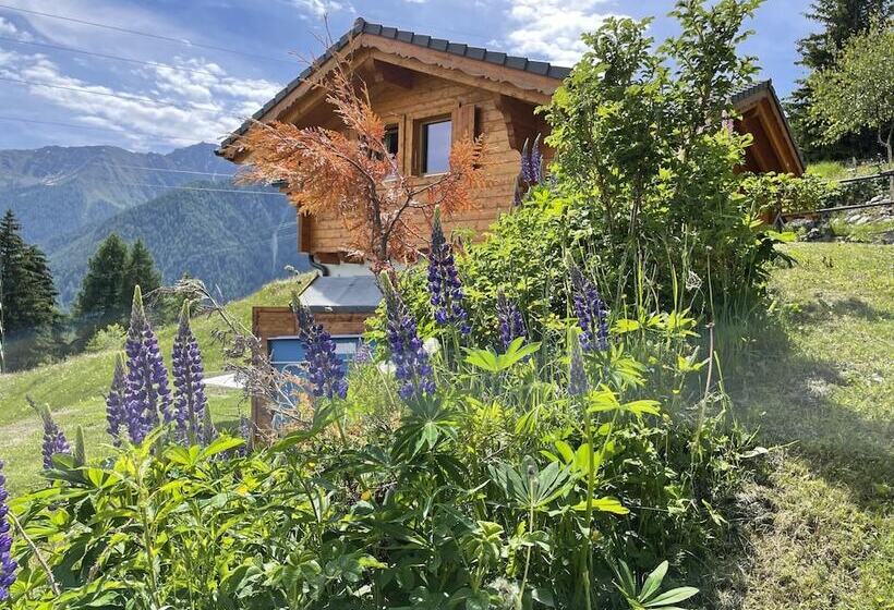 Chalet Belle Roche Recently Renovated Jacuzzi