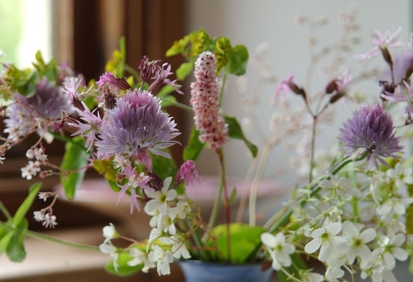 Cosy Cottage With Authentic Fireplace In The Breathtaking Duffryn Valley