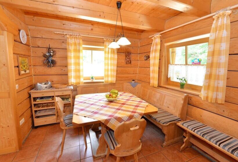 Holiday Home Near Ski Area