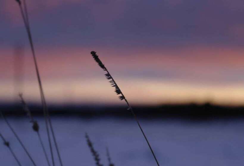 Graceful Holiday Home In Dankerode With Garden