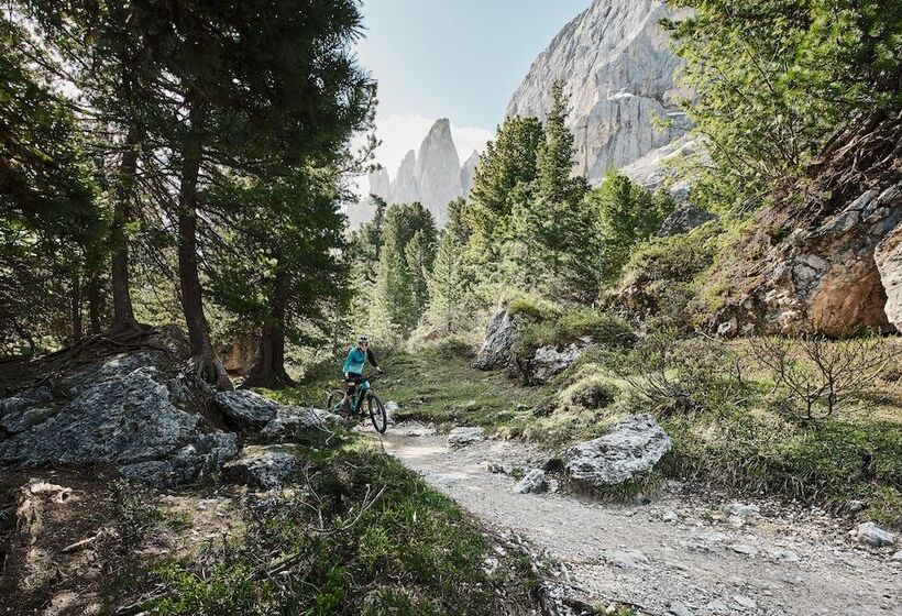 Falkensteiner Hotel Kronplatz, The Leading Hotels of The World