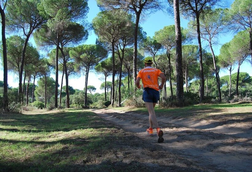 בית מלון כפרי Glamping Sevilla